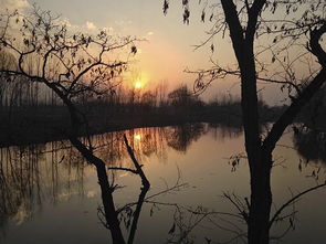 藝術(shù)與數(shù)字的雙重奏 設計藝術(shù)學院學子以個人互聯(lián)網(wǎng)服務榮獲中華杯全國文學創(chuàng)作大賽三等獎